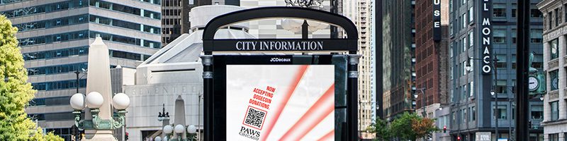 動物保護団体「PAWS Chicago」仮想通貨の寄付を受け入れ｜BTC・ETH・DOGEなど